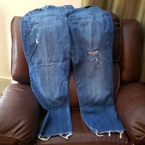 Lane Bryant straight leg boyfriend Jean style size 20